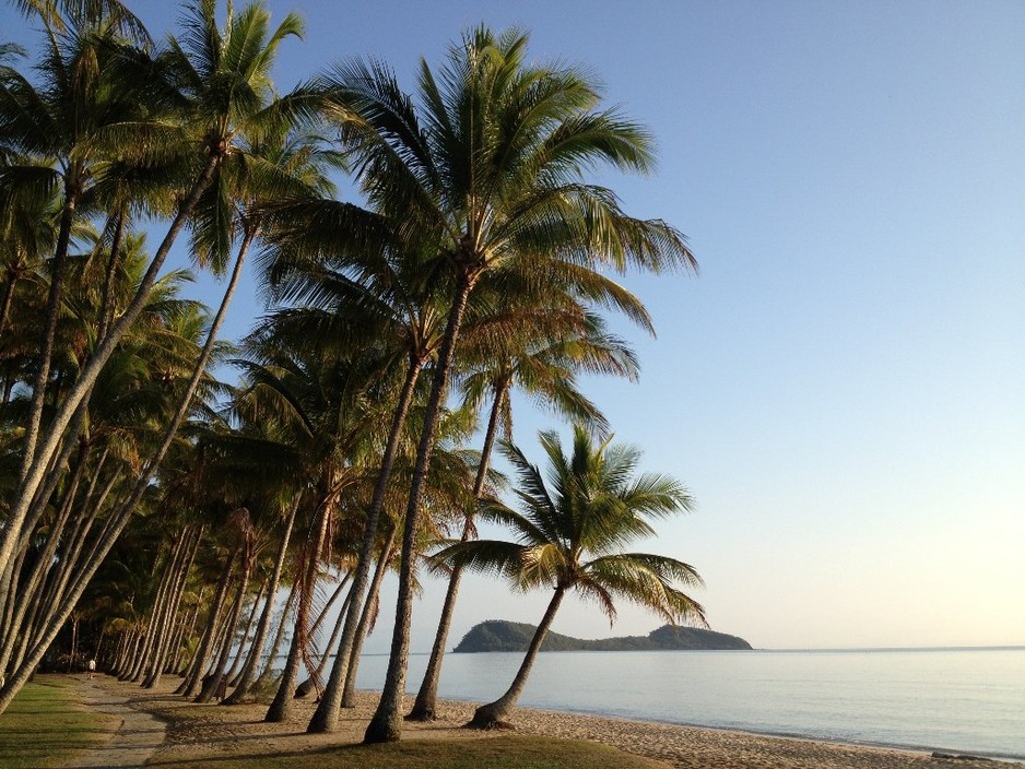 Palm Cove Real Estate Pic 1