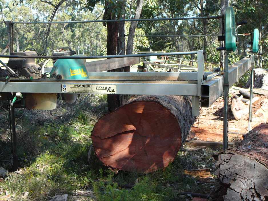 Gracewood Timber Products Pic 1 - Onsite Timber Milling