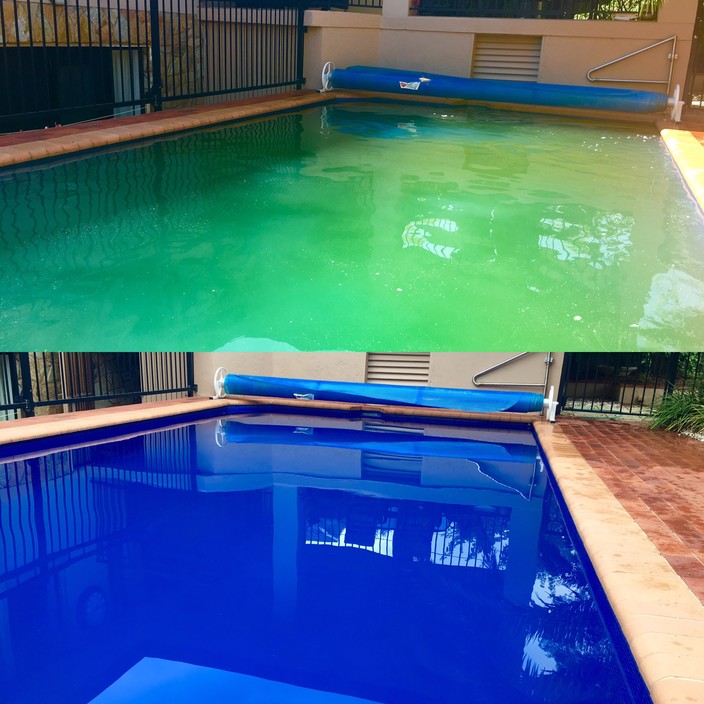 Pool Genie Pic 1 - Green Pool Makeover Canberra