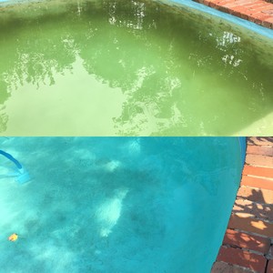 Pool Genie Pic 3 - Green Pool Clean Yass