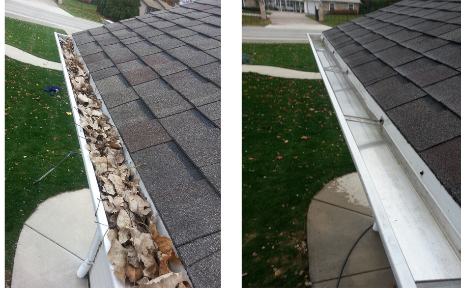 W.A Gutter Vacuum and Solar Clean Pic 1