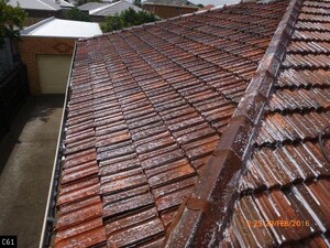 Soft Wash Roof Cleaning Pic 3 - Moss Treatment Works Alongside Other Roof Works Roof works include solar panel installation roof repairs replace broken tiles repointing valleys rebedding roof painting roof sealing and gutter cleaning