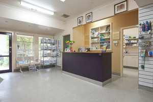 Montmorency Veterinary Hospital Pic 5 - Reception area at Montmorency Veterinary Hospital