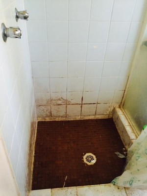 A Husband and Wife Cleaning Team Pic 2 - a shower before it is cleaned