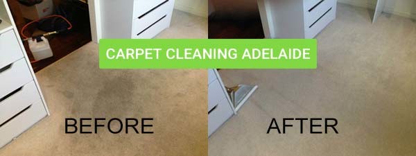 Spotless Carpet Cleaning Adelaide Pic 1