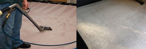 Spotless Carpet Cleaning Adelaide Pic 2