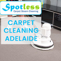 Spotless Carpet Cleaning Adelaide Pic 3