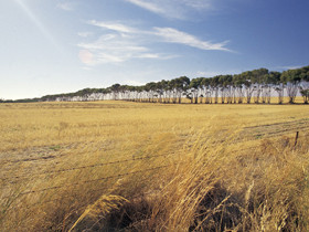 Port Wakefield Motel Pic 1 - Yorke Peninsula South Australia