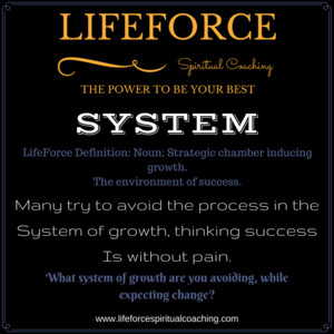 LifeForce Spiritual Coaching Pic 4