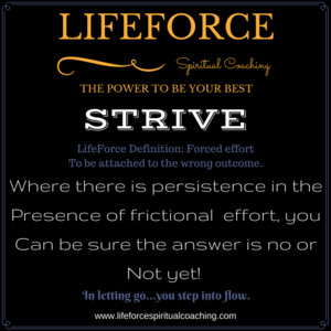 LifeForce Spiritual Coaching Pic 5