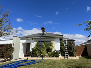 Southern River Gutter Cleaning Pic 4