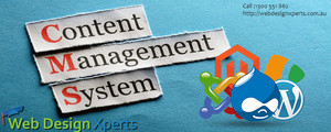 Web Design Xperts Pic 2 - Webdesign Xperts CMS Development