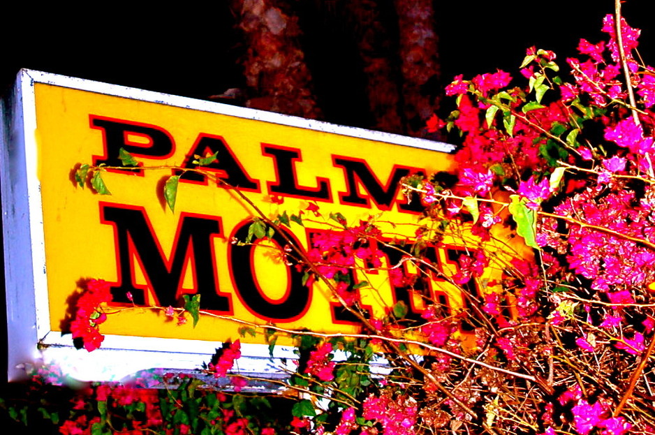 Palms Motel Pic 1 - Minutes from the Beach