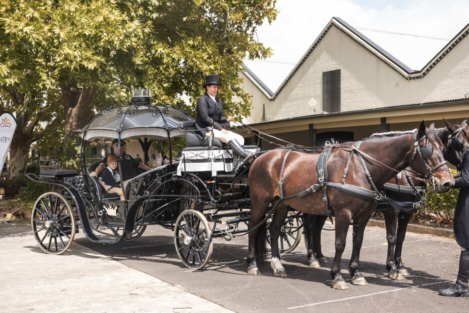 Cinderella Arrivals Pic 1 - Horses Gus Jess in the Black Cinderella Pumpkin Carriage at Dalwood Estate