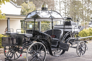 Cinderella Arrivals Pic 2 - The Black Cinderella Pumpkin Carriage is timeless and magical