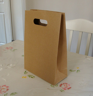 Eco Friendly Brown Paper Bag Studio Pic 2