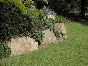 Alberts Gardening & Property Maintenance Pic 2 - gardener in Regents Park Brisbane