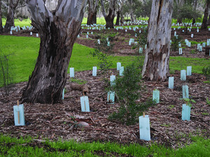 Alberts Gardening & Property Maintenance Pic 4 - Heritage Park Garden Maintenance