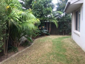 Wattlebird Gardening Pic 2 - Garden Maintenance in Maroubra