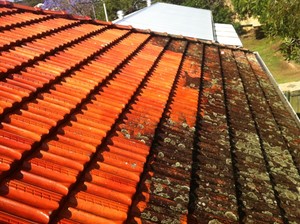 Mobile Handyman Service Pic 4 - Roof tiles cleaned