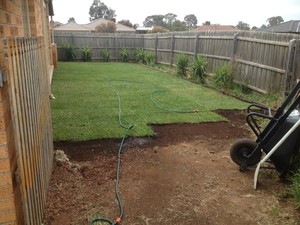 WTF Maintenance Services Pic 4 - landscaping turf laying