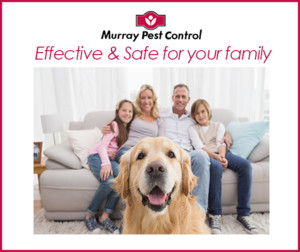 Murray Pest Control Adelaide Pic 2 - Effective and safe for your entire family