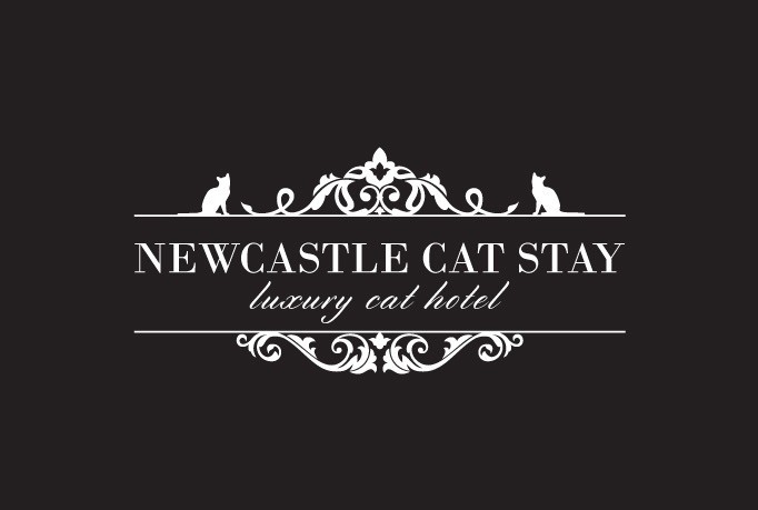 Newcastle Cat Stay Pic 1