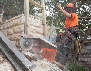 Rennie Bros Tree Surgeons Pic 4 - Stump Grinding Sydney