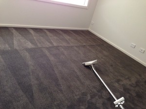 Choice 1 Carpet Cleaning Pic 2 - Carpet Steam Cleaning