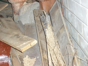 Network Pest Control Pic 5 - termite damaged timber