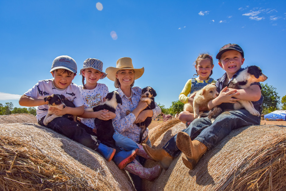 Katherine Outback Experience Pic 1 - Kids love the puppies at Katherine Outback Experience