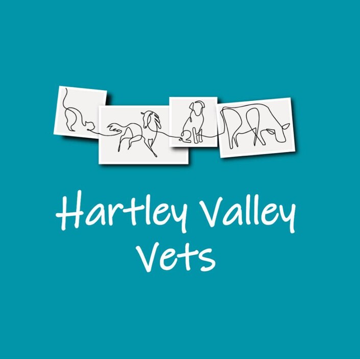 Hartley Veterinary Clinic and Animal Centre Pic 1