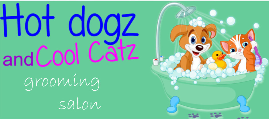 Hot Dogz and Cool Catz Grooming Salon Pic 1