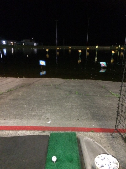 Aqua Golf At Panthers Pic 1