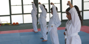 Thrive Taekwondo Pic 3 - Discipline