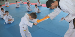 Thrive Taekwondo Pic 4 - Goal Setting