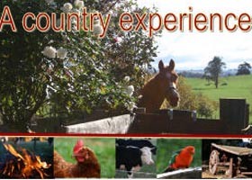 Blerick Country Retreat Pic 1 - A country experience