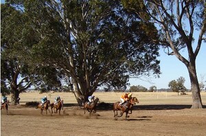 Cornwall House Accommodation Pic 5 - Cheer on your horse at the Race Day