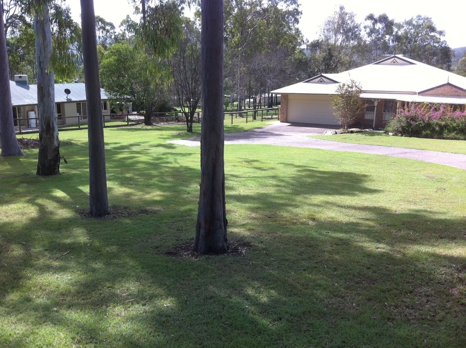 Tough Enough Cleaning & Property Maintenance Pic 1 - Acreage mowing