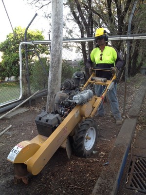 Tough Enough Cleaning & Property Maintenance Pic 3 - Stump grinding