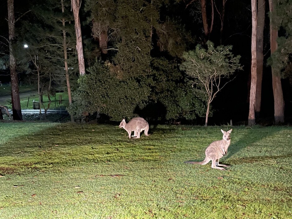 Eastern Hill Creswick Pic 1