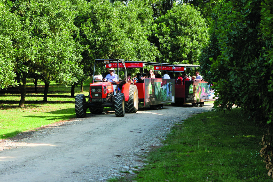 Summerland Farm in Alstonville, NSW, Restaurants TrueLocal