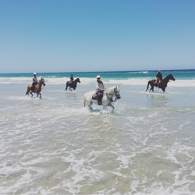 Respite @ Byron Care Stay Pic 1 - Horse riding Respite Byron Care Stay