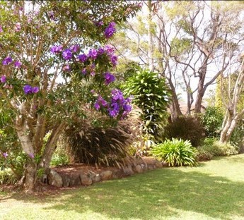 Mathew Williams Lawns, Gardens & Property Maintenance Pic 1