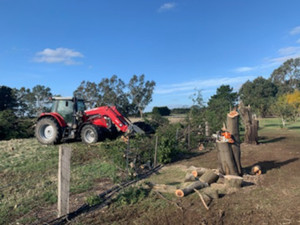 Brunt's Contracting Pic 3 - Tree Clearing Firewood cutting and splitting on your property