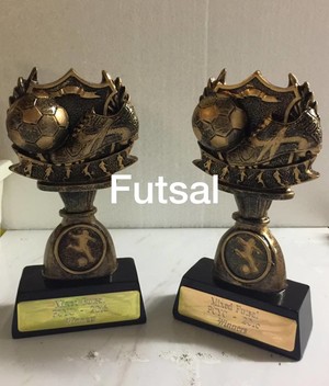 Rob-Lea Trophies Pic 3 - Futsal Comp