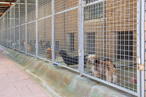 Julie's Boarding Kennels & Cattery Pic 5 - Separate space just for littlies