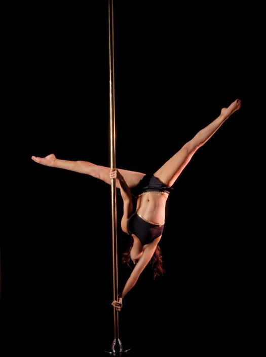 POLE DYNAMICS Pic 1