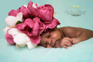 Savanna Photography Pic 5