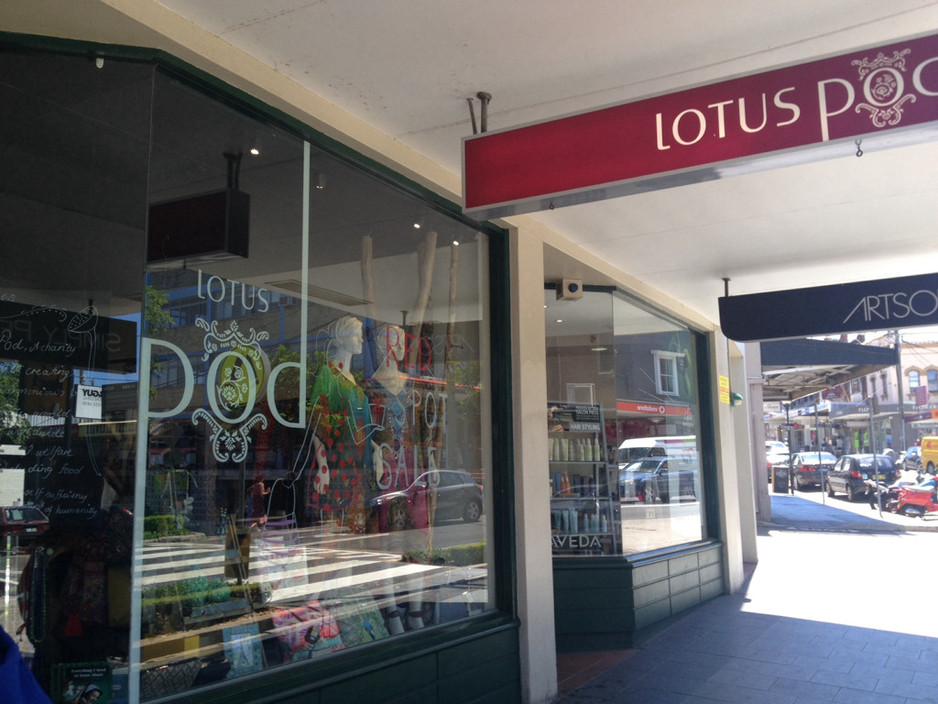 Lotus Pod Pic 1 - Main Street shopping